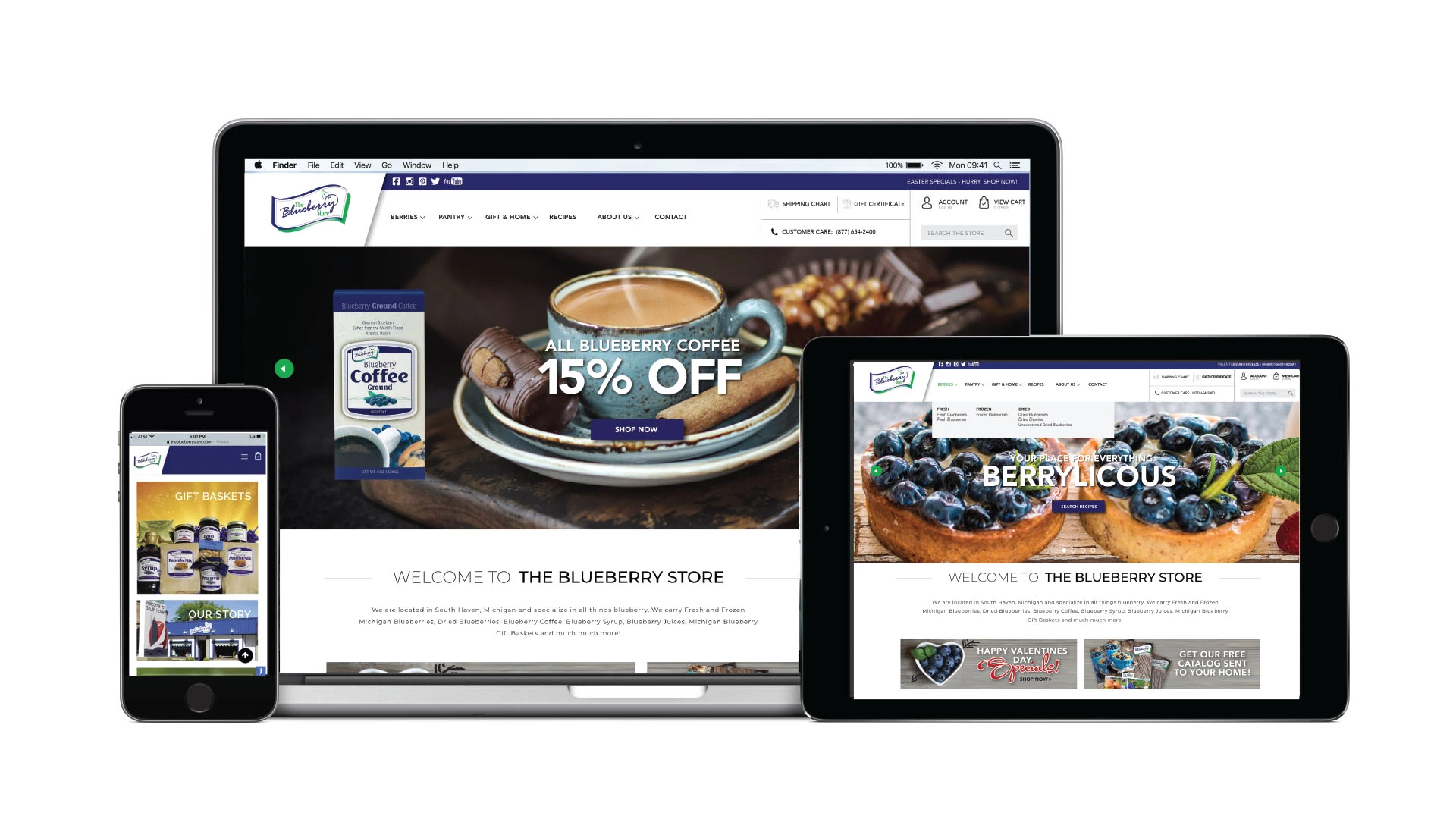 The Blueberry Store Website